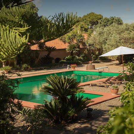 Masseria Pernice 蒙雷亚莱 外观 照片