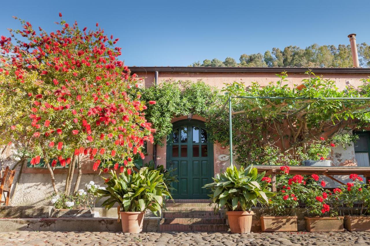 Masseria Pernice 蒙雷亚莱 外观 照片