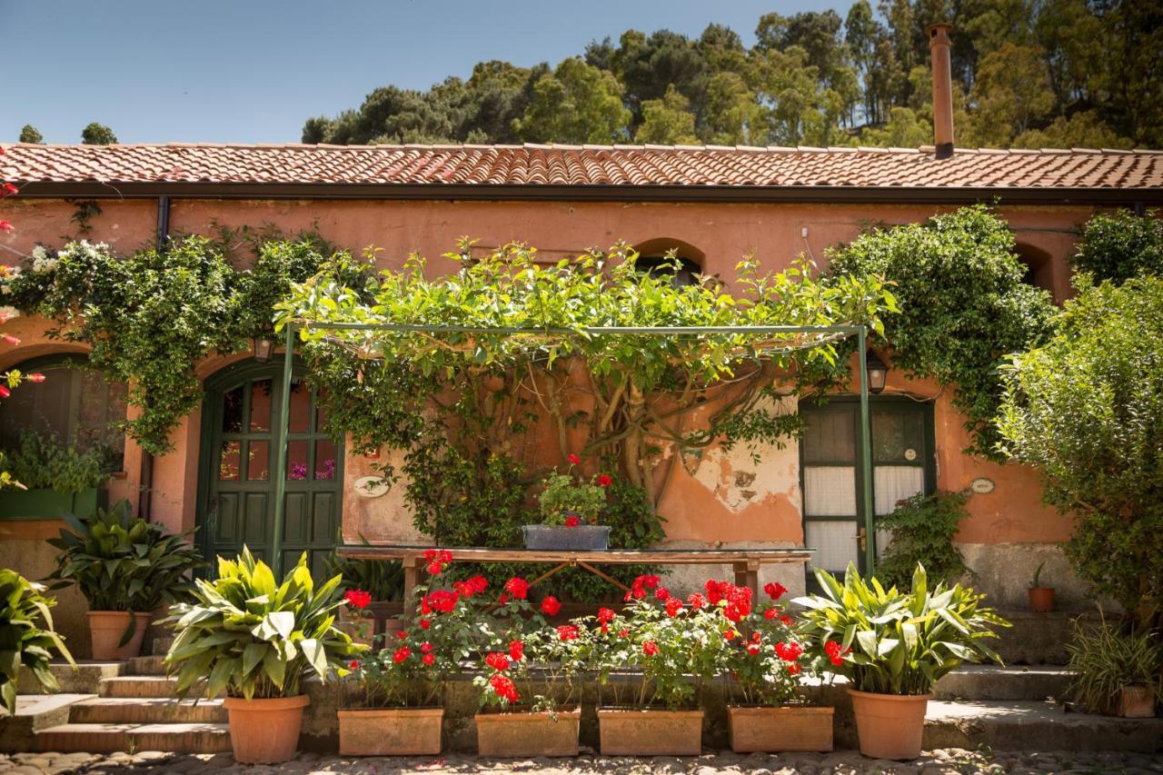 Masseria Pernice 蒙雷亚莱 外观 照片