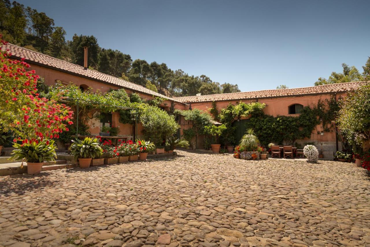 Masseria Pernice 蒙雷亚莱 外观 照片