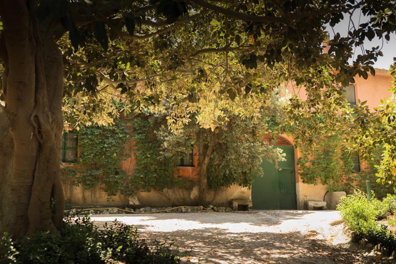 Masseria Pernice 蒙雷亚莱 外观 照片