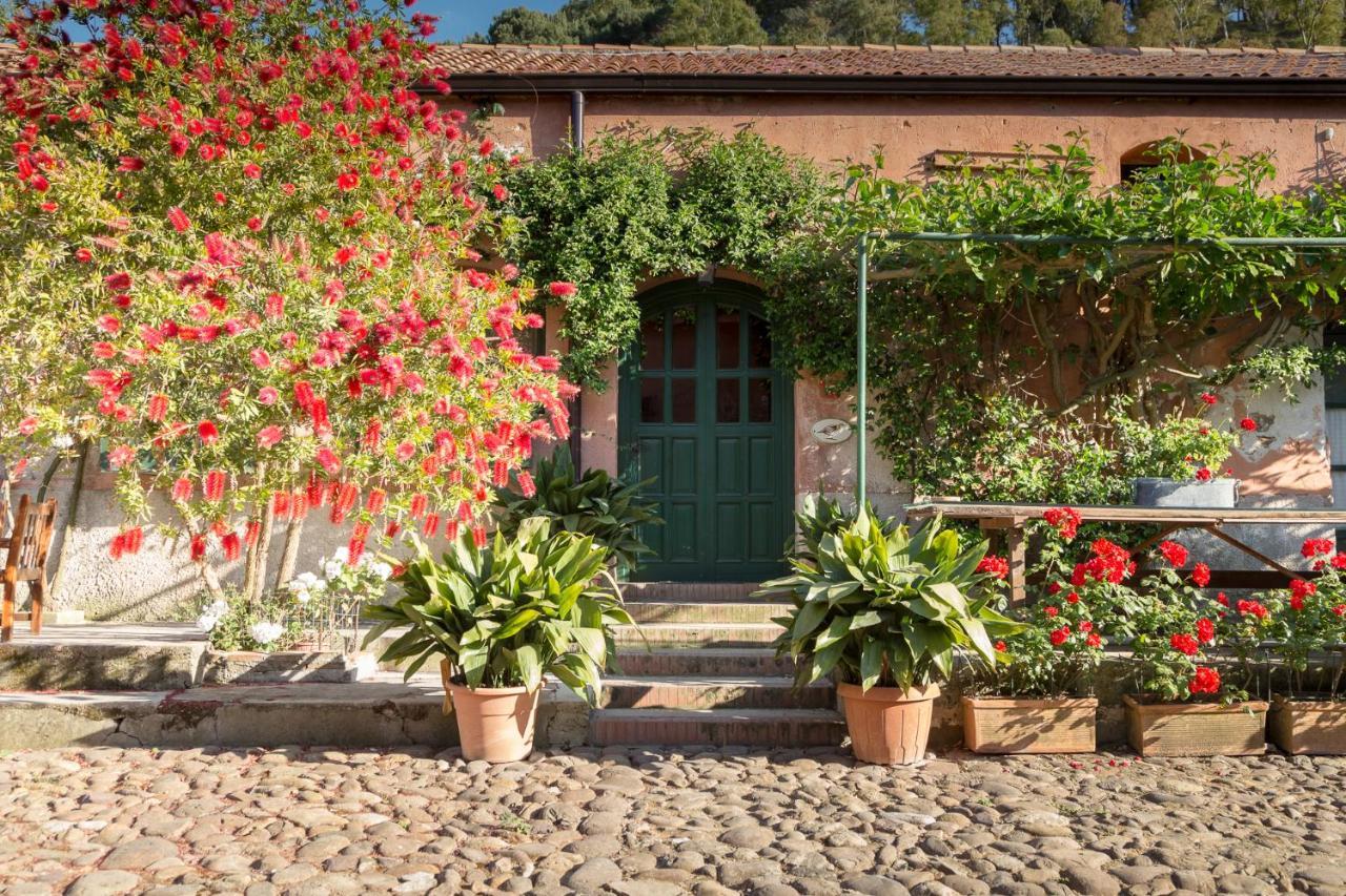 Masseria Pernice 蒙雷亚莱 外观 照片